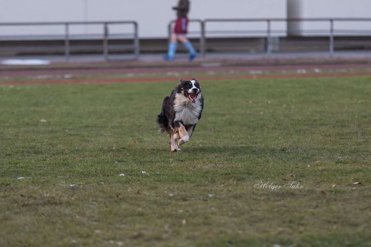 Bild 86 - Hundeshooting